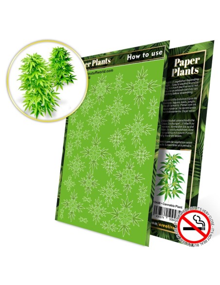 Plantes à Papier - Cannabis