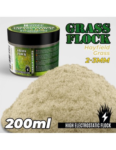 Herbe Statique 2-3mm- HAYFIELD GRASS - 200ml