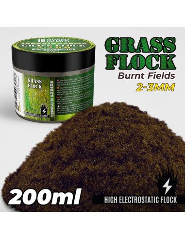 Herbe Statique 2-3mm- BURNT FIELDS - 200ml