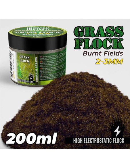 Herbe Statique 2-3mm- BURNT FIELDS - 200ml