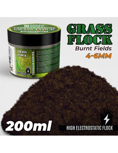 Herbe Statique 4-6mm- BURNT FIELDS - 200ml