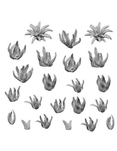 SET IMPRIME EN 3D - ALOE