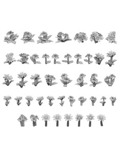 SET IMPRIME EN 3D - PAQUERETTE ET PISSENLIT