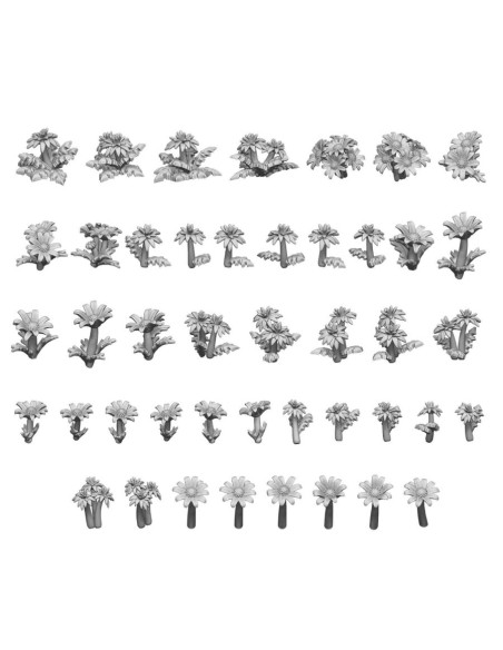 SET IMPRIME EN 3D - PAQUERETTE ET PISSENLIT