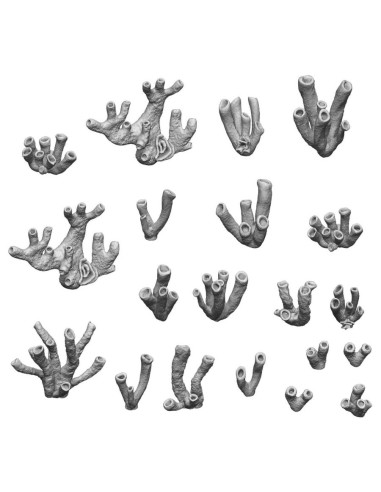 SET IMPRIME EN 3D - CORAUX