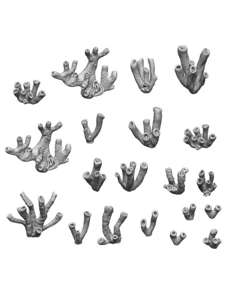 SET IMPRIME EN 3D - CORAUX