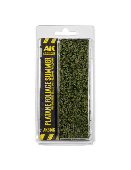 PLATANE FOLIAGE SUMMER
