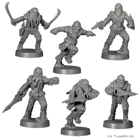 Combattants Wookies (Français)