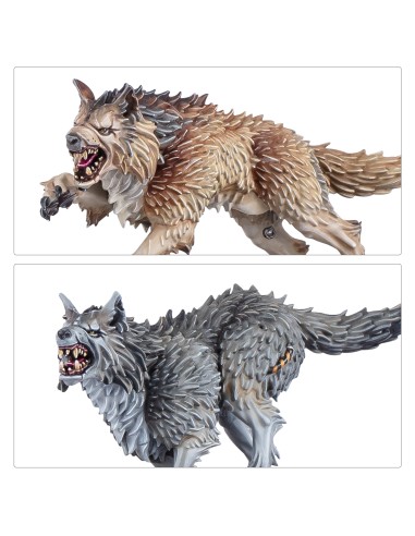 Loups de Chasse des Preneurs de Têtes Gardes Loups — détails des pelages et des augmentations