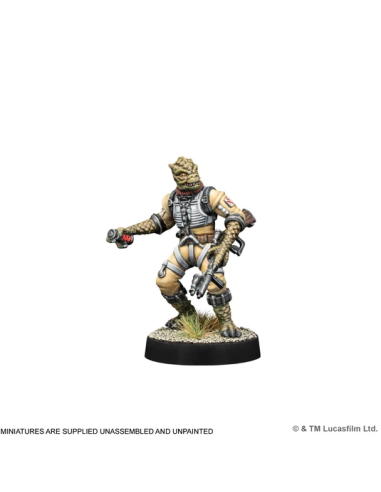 Galactic Bounty Hunters