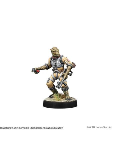Galactic Bounty Hunters