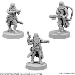 Force Blizzard (Armée) (Français) 2