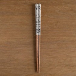 KIKI LA PETITE SORCIERE - Esquisses Brun - baguettes Laquées 21cm