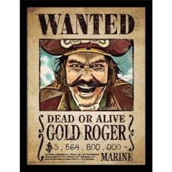 ONE PIECE NETFLIX - Gold Roger - Impression encadrée 30x40cm