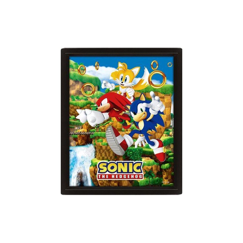 SONIC - Catching Rings - Poster lenticulaire 3D 26x20cm
