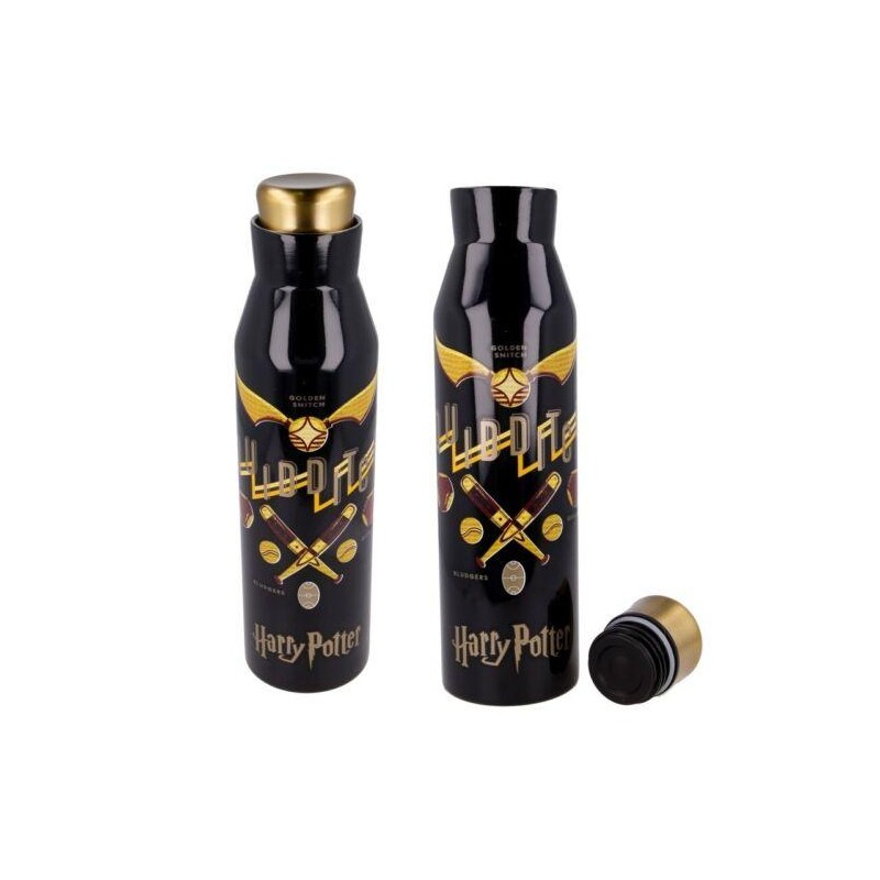 HARRY POTTER - Quidditch -Bouteille en Acier Inoxydable Diabolo -580ml