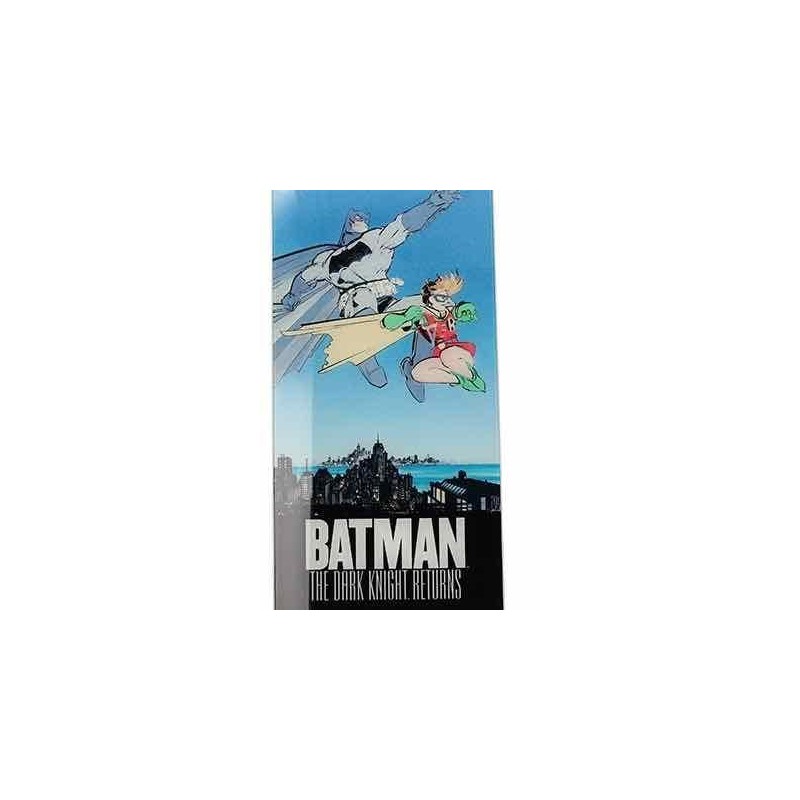 DC - Poster en Verre - Batman et Robin - 61X31x3cm