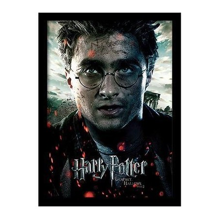 HARRY POTTER -Reliques Mort Part2 "Harry" -Impression encadrée 30x40cm