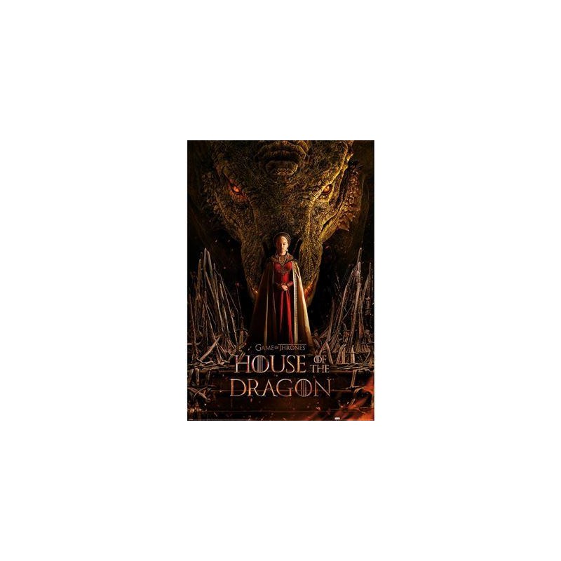 HOUSE OF THE DRAGON - Dragon Throne - Poster 61x91cm