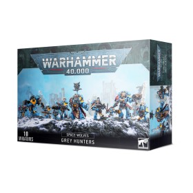 SPACE WOLVES: GRAY HUNTERS