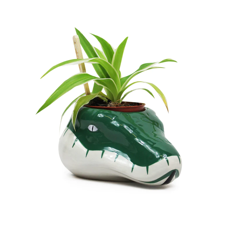 HARRY POTTER - Serpentard - Pot Pour Plante