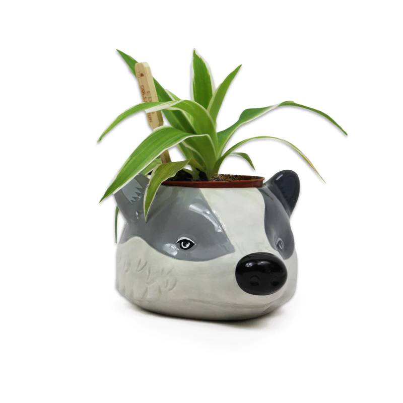 HARRY POTTER - Poufsouffle - Pot Pour Plante