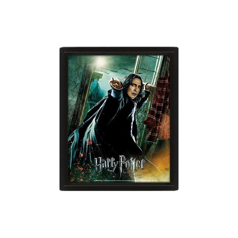 HARRY POTTER - Deathly Hallows - Poster lenticulaire 3D 26x20cm