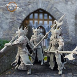 3x King's Guard (halberd)