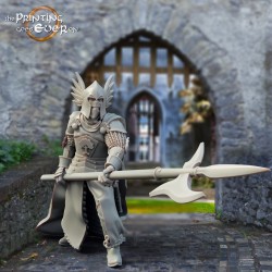 3x King's Guard (halberd) 2