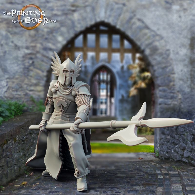 3x King's Guard (halberd)