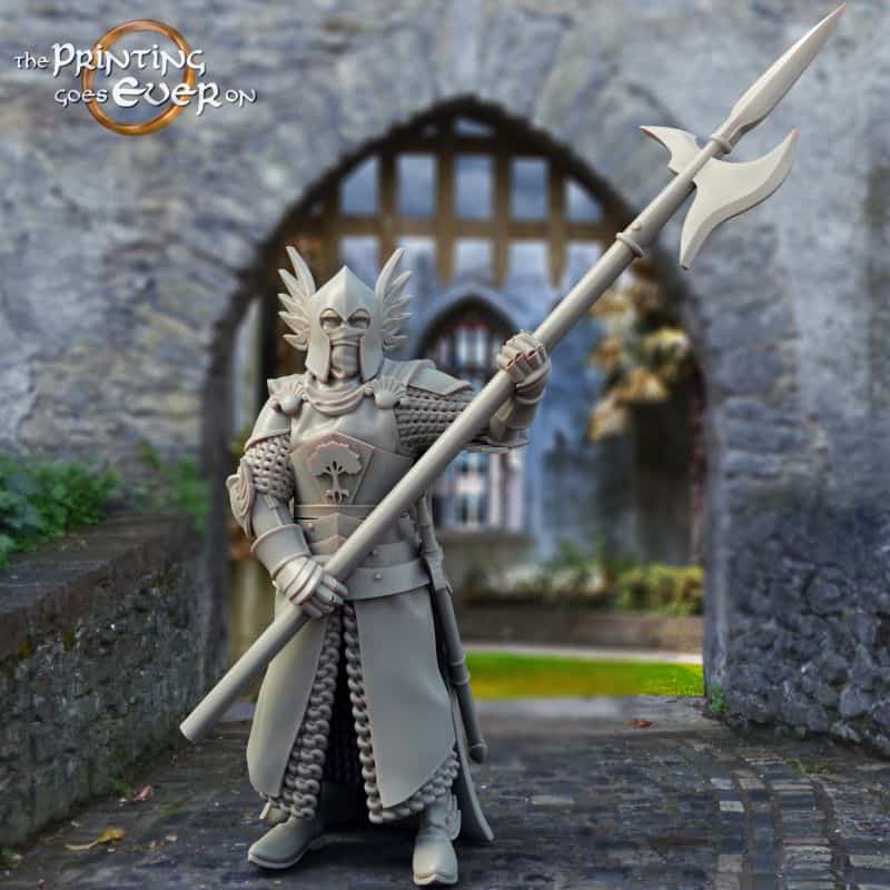 3x King's Guard (halberd)