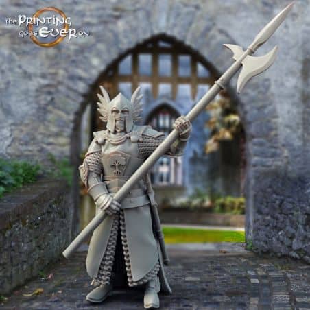 3x King's Guard (halberd)