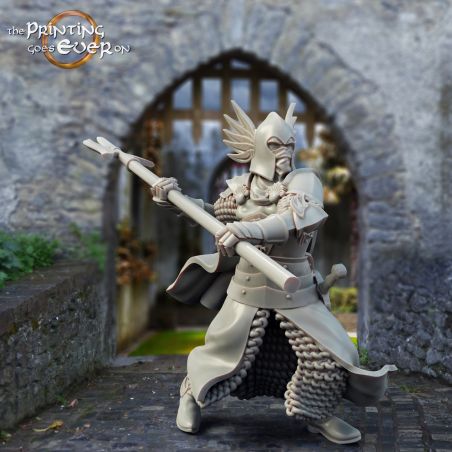 3x King's Guard (halberd)