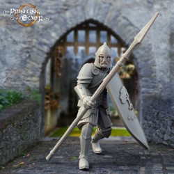 3x Whitcaester Soldier (spear and shield) 2