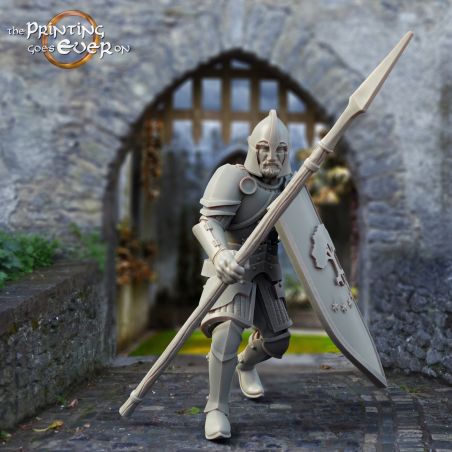 3x Whitcaester Soldier (spear and shield)