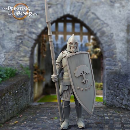 3x Whitcaester Soldier (spear and shield)