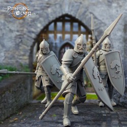 3x Whitcaester Soldier (spear and shield)