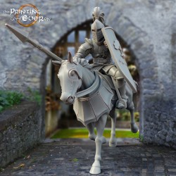 2x Whitcaester Knight 2