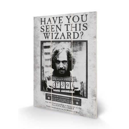 HARRY POTTER - Sirius Wanted - Impression sur bois 20x29.5