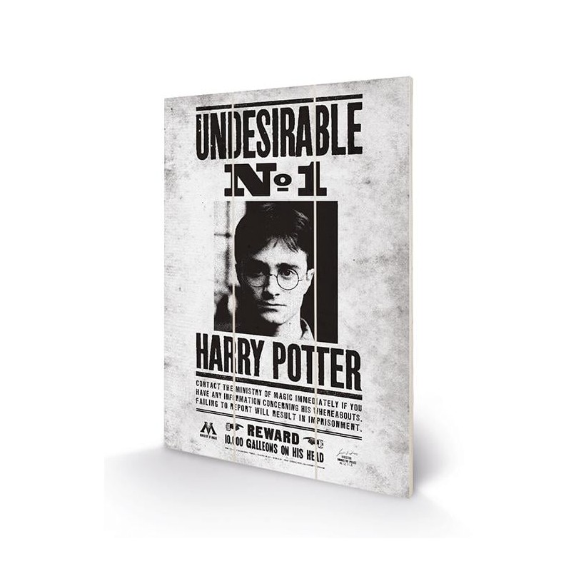 HARRY POTTER - Undesirable No1 - Impression sur bois 20x29.5