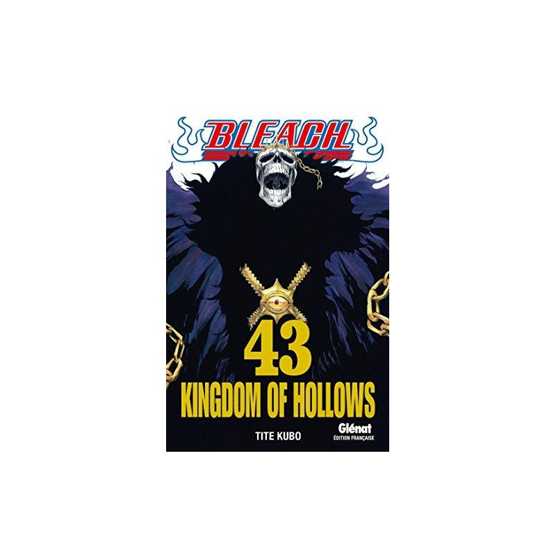BLEACH - Tome 43