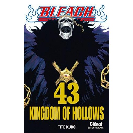 BLEACH - Tome 43