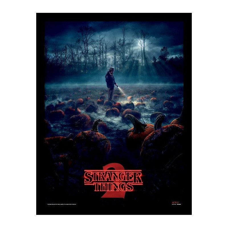 STRANGER THINGS - Pumpkin Patch - Impression encadrée 30x40cm