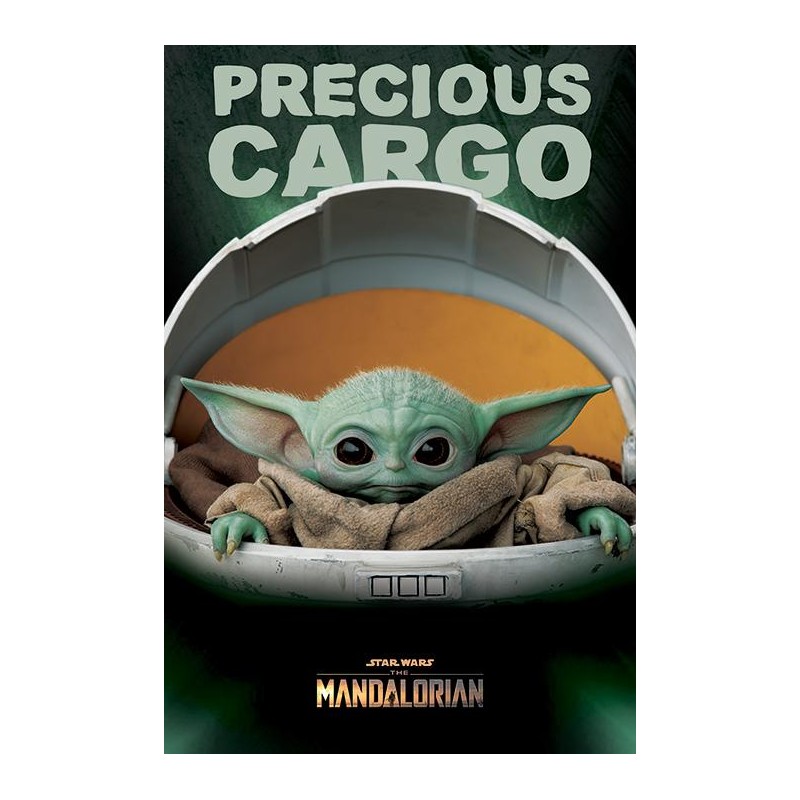 STAR WARS - The Mandalorian - Poster 61X91 - Precious Cargo