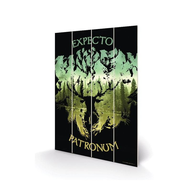 HARRY POTTER - Expecto Patronum - Impression sur bois 20x29.5
