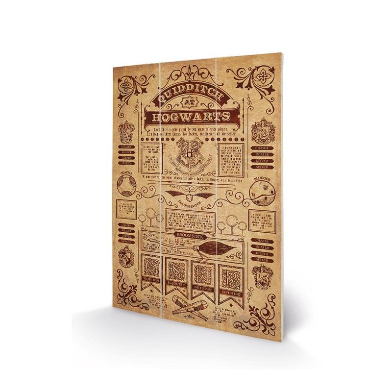 HARRY POTTER - Quidditch at Hogwarts - Impression sur bois 20x29.5