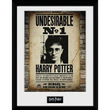 HARRY POTTER - Collector Print 30X40 - Undesirable No1