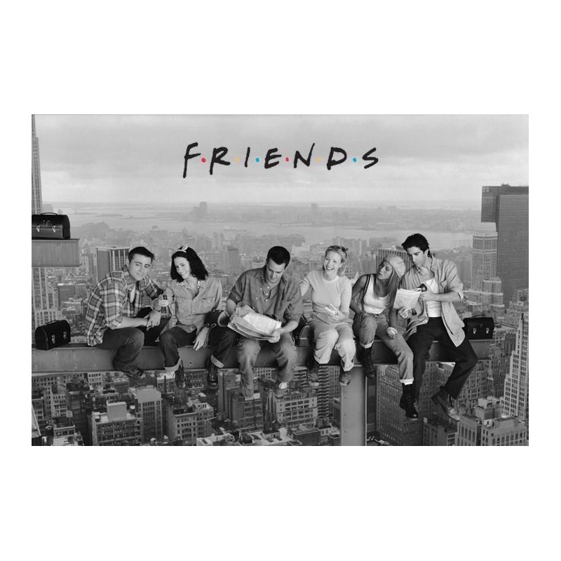 FRIENDS - Poster 61X91 - Skyscraper
