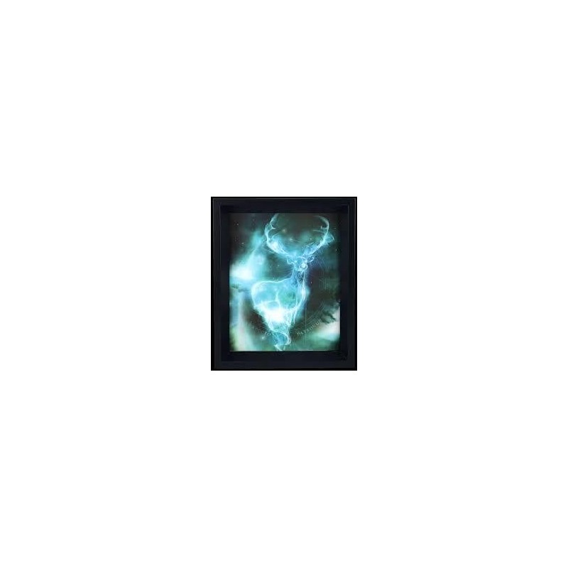 HARRY POTTER - 3D Lenticular Poster 26X20 - Expecto Patronum