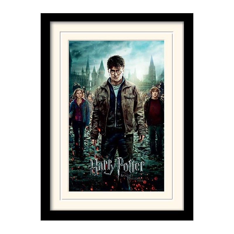 HARRY POTTER - Mounted & Framed 30X40 Print - Deathly Hallows Part 2